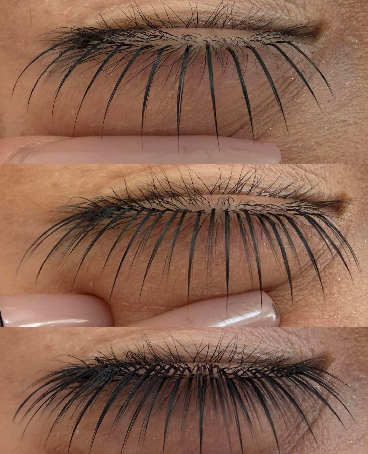 Lady Lash