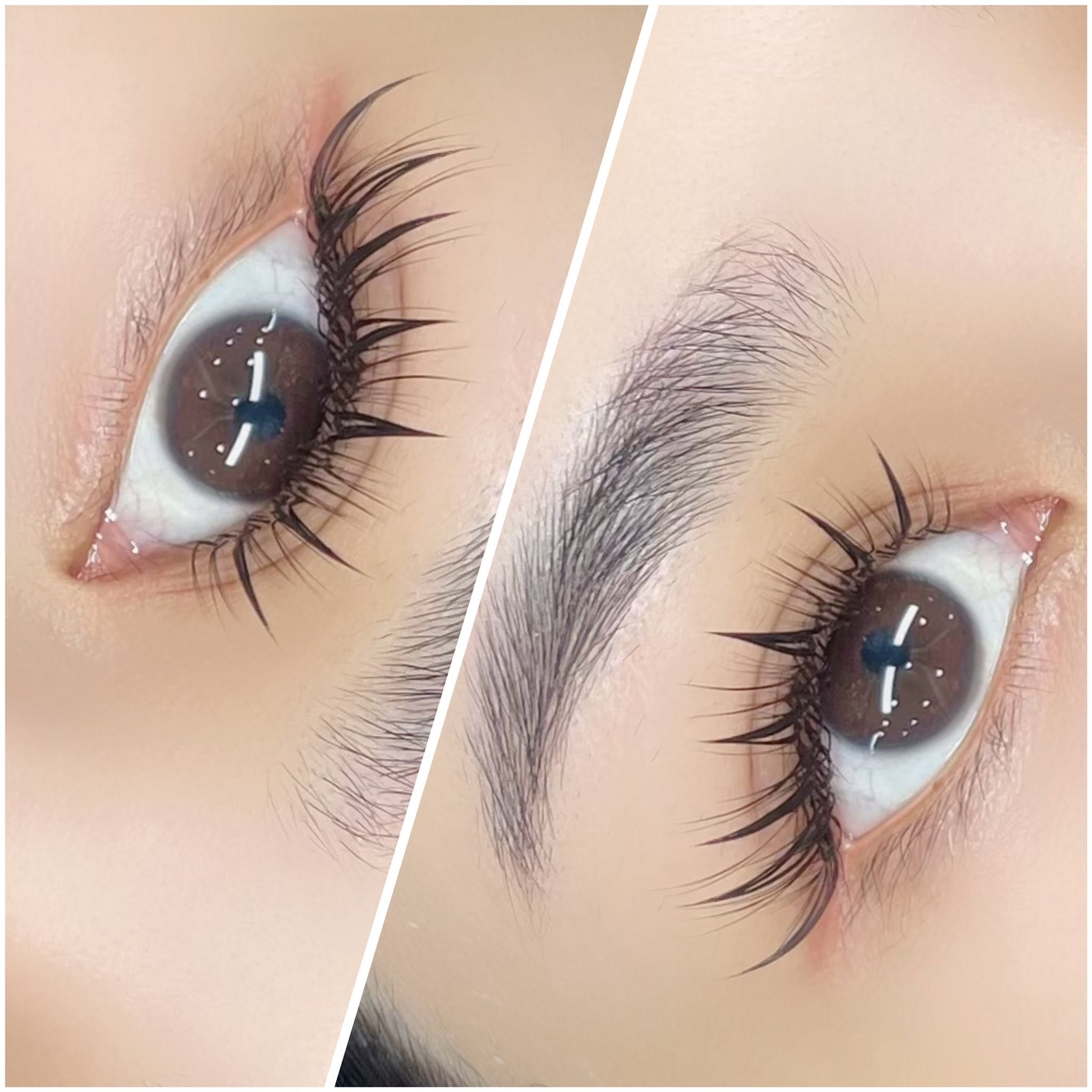 Lady Lash